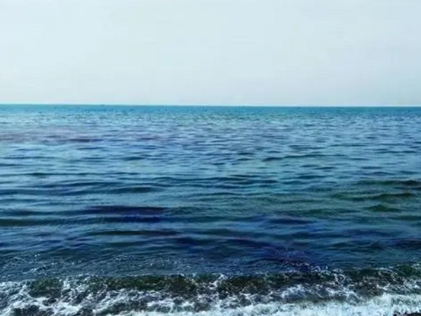 日本核廢水將排海-影響何以估量？